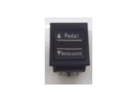 Remote/Pedal Powered Switch